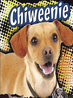 cover image of Chiweenie